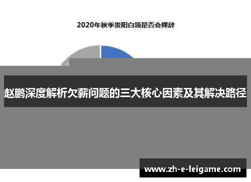 赵鹏深度解析欠薪问题的三大核心因素及其解决路径